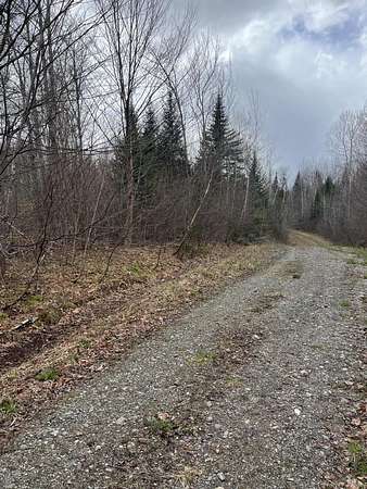 82 Acres of Land for Sale in Amity Town, Maine