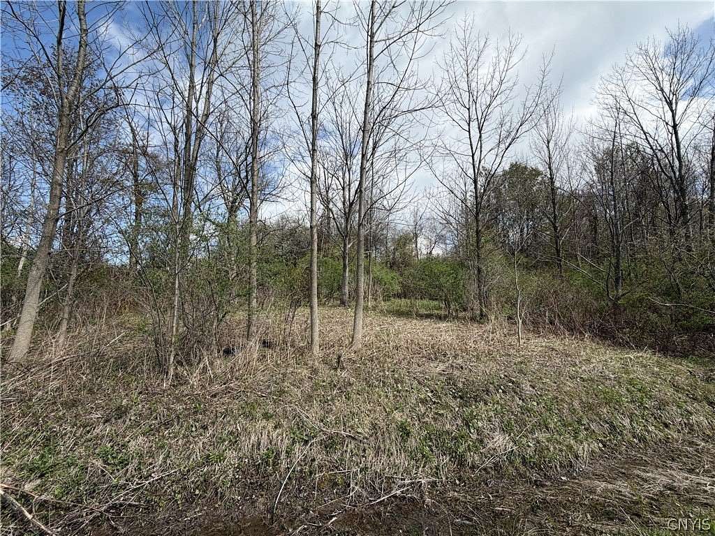 1.2 Acres of Land for Sale in Jordanville, New York