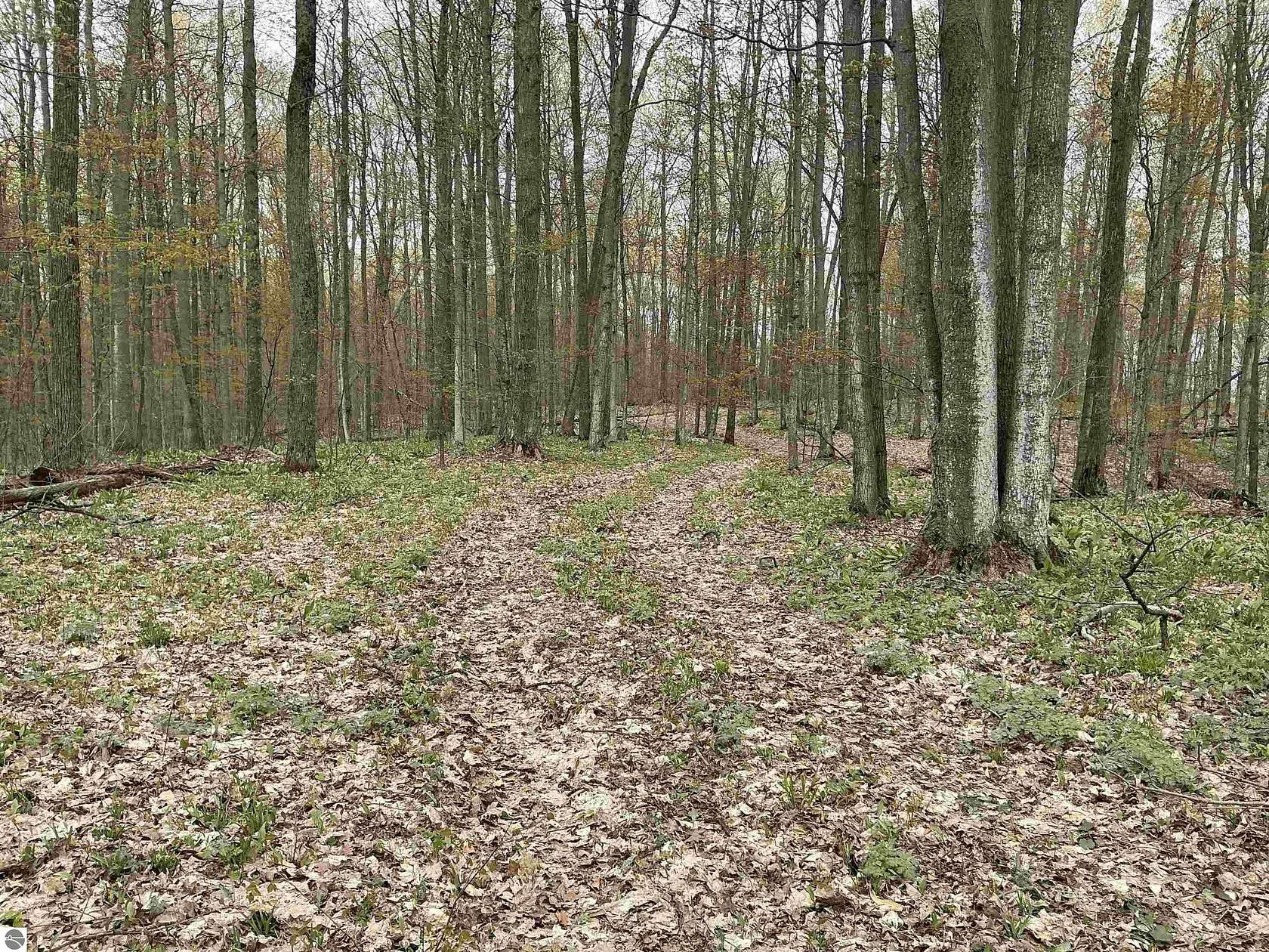 20 Acres of Recreational Land for Sale in Rapid City, Michigan