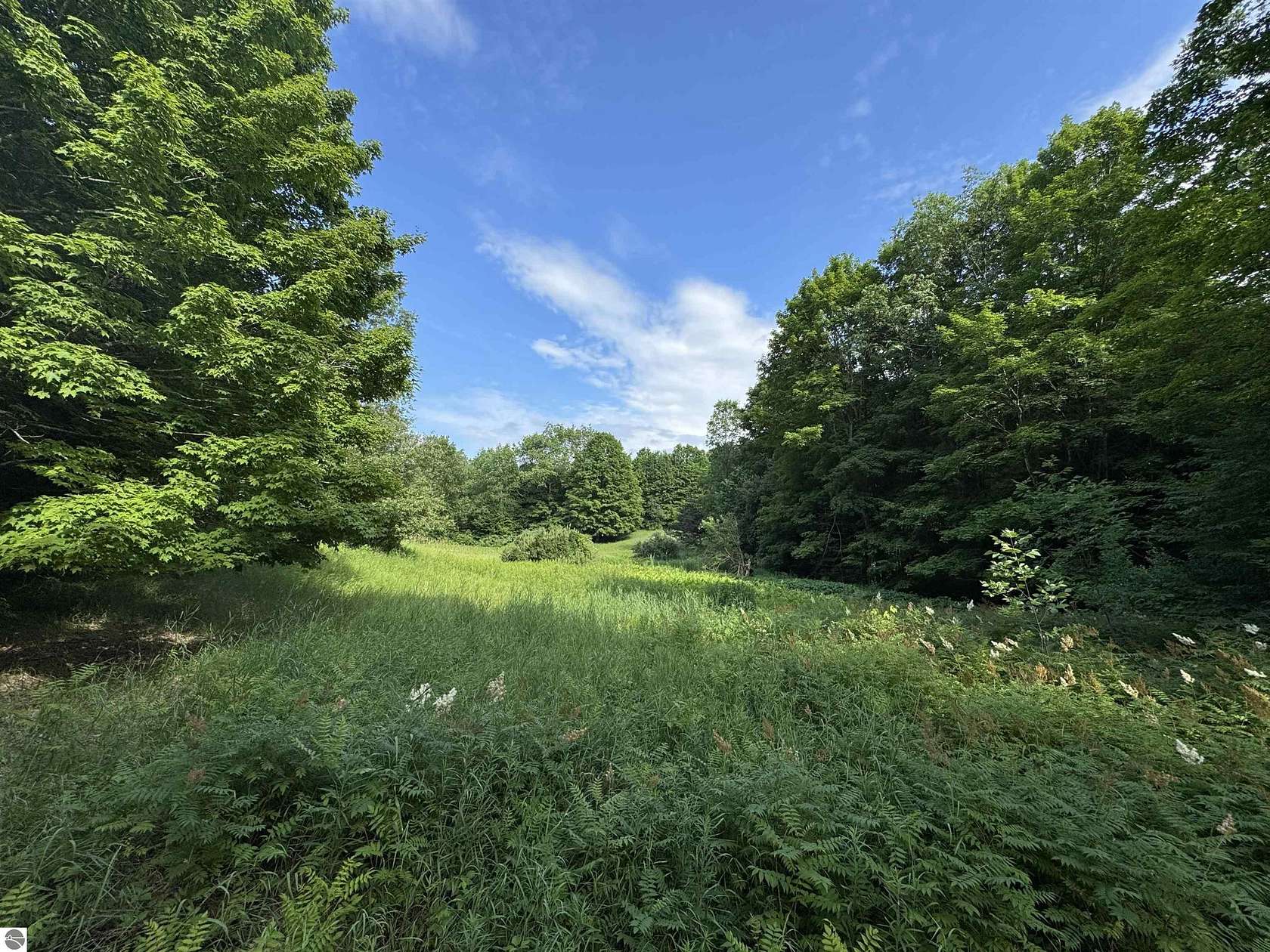 125 Acres of Recreational Land for Sale in Empire, Michigan