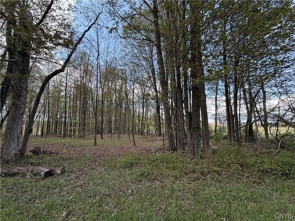 1.3 Acres of Land for Sale in Jordanville, New York