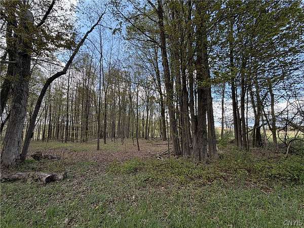 1.3 Acres of Land for Sale in Jordanville, New York