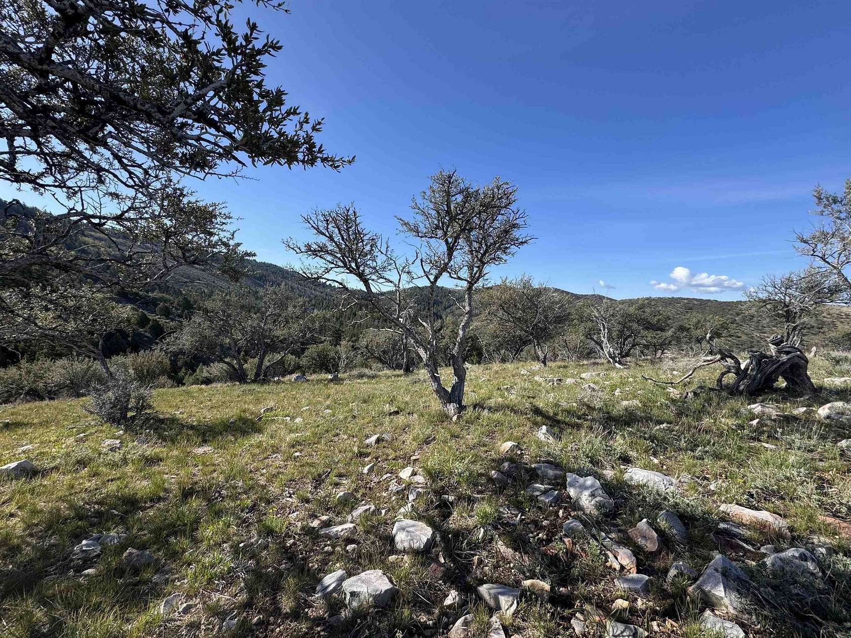 5 Acres of Recreational Land for Sale in Lava Hot Springs, Idaho