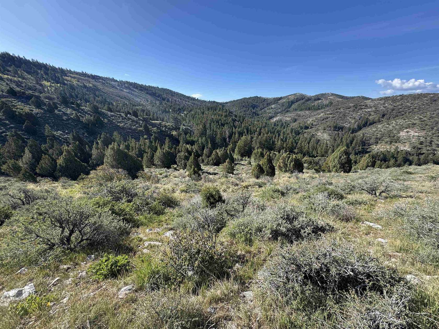 5 Acres of Recreational Land for Sale in Lava Hot Springs, Idaho