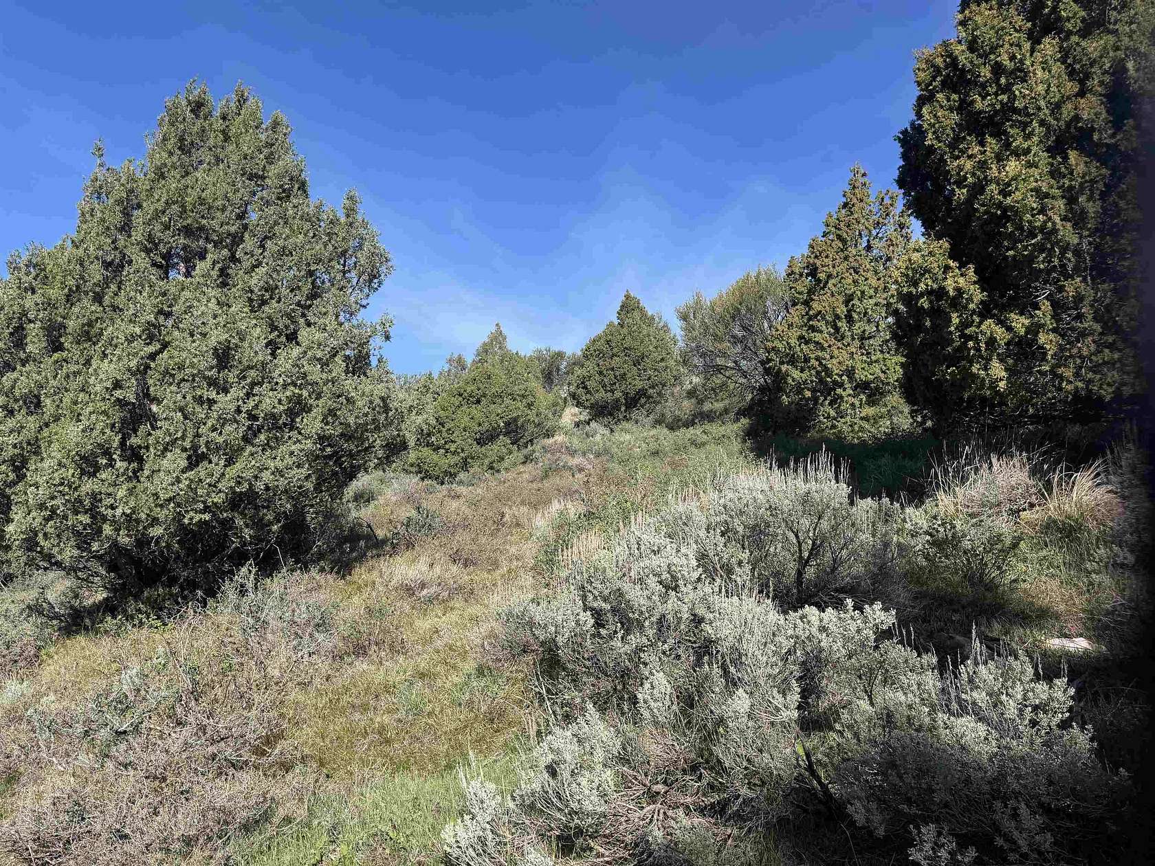 5 Acres of Recreational Land for Sale in Lava Hot Springs, Idaho