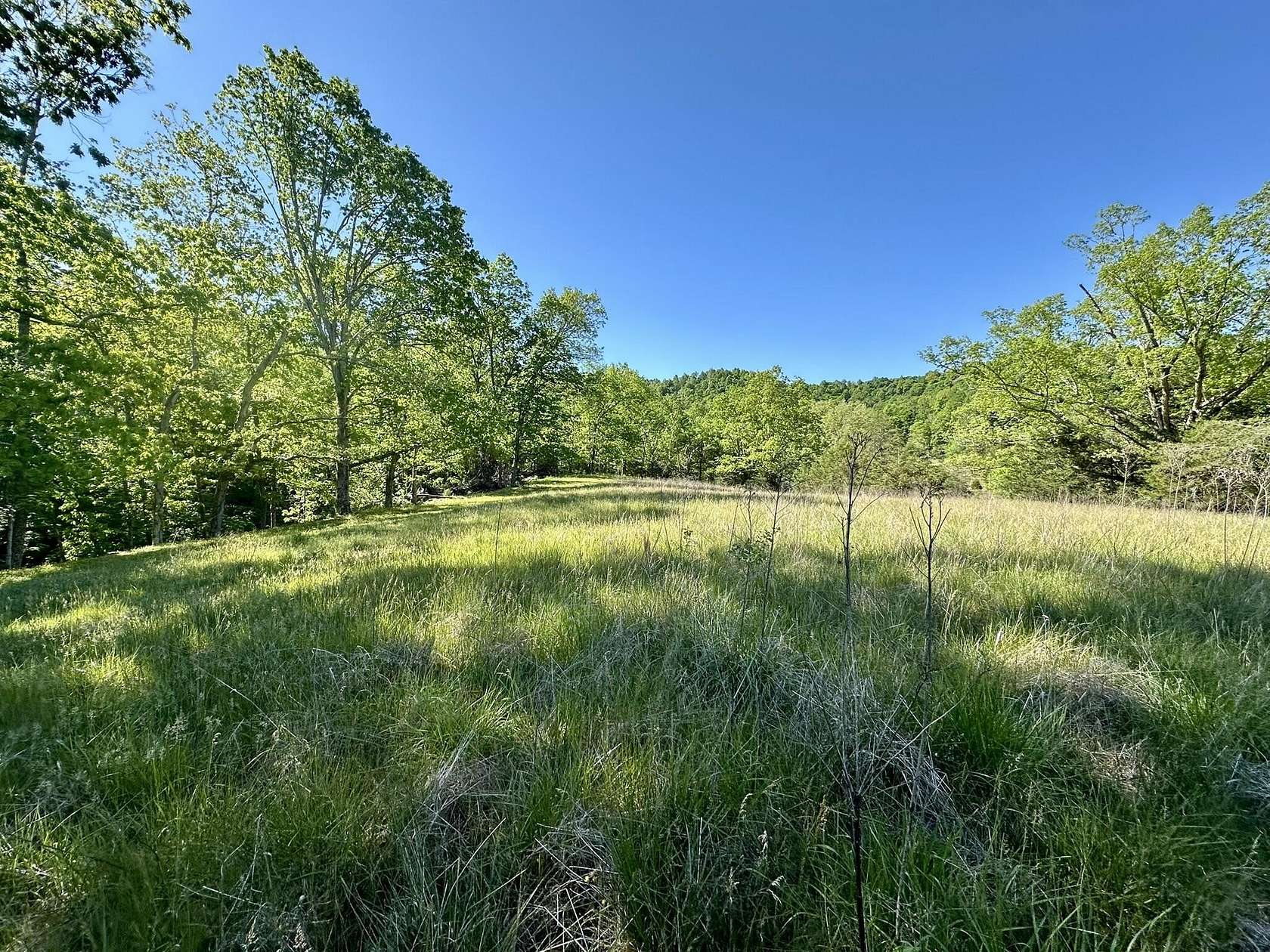109 Acres of Recreational & Residential Land for Sale in Liberty, Kentucky