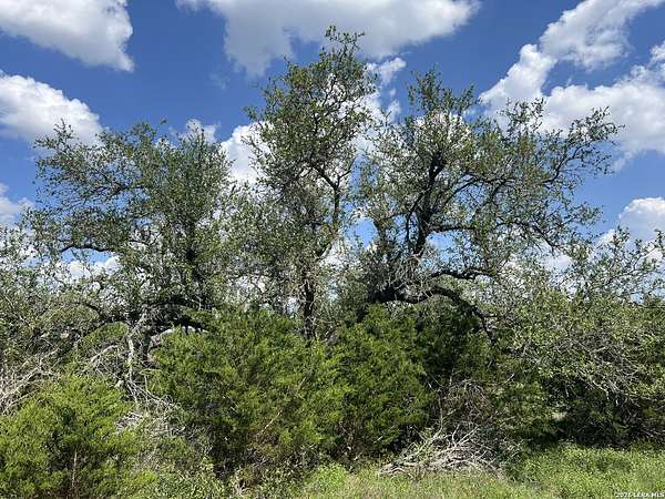 3 Acres of Residential Land for Sale in Spring Branch, Texas