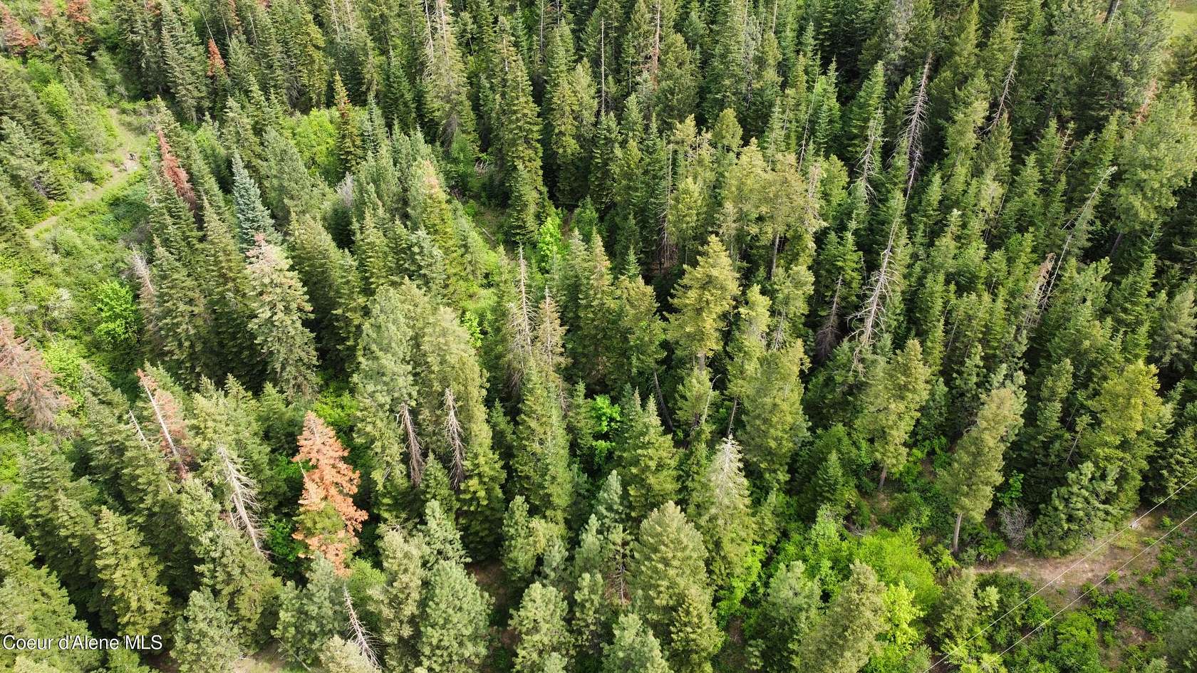 8.55 Acres of Land for Sale in St. Maries, Idaho