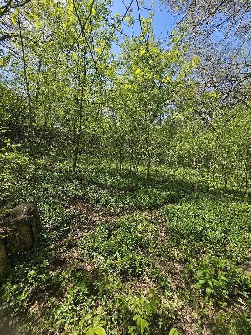 0.18 Acres of Residential Land for Sale in Spring Grove, Illinois