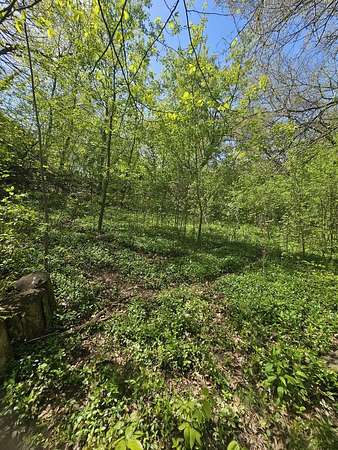 0.18 Acres of Residential Land for Sale in Spring Grove, Illinois