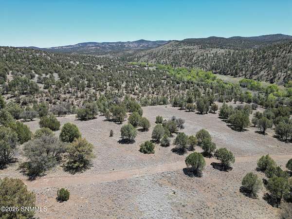 30.1 Acres of Land for Sale in Mimbres, New Mexico