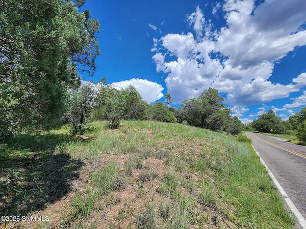 27.2 Acres of Recreational & Residential Land for Sale in Mimbres, New Mexico