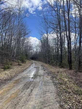 81 Acres of Recreational Land for Sale in Danforth, Maine