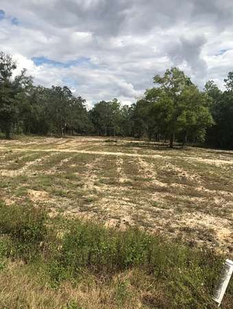1 Acre of Commercial Land for Sale in Chipley, Florida