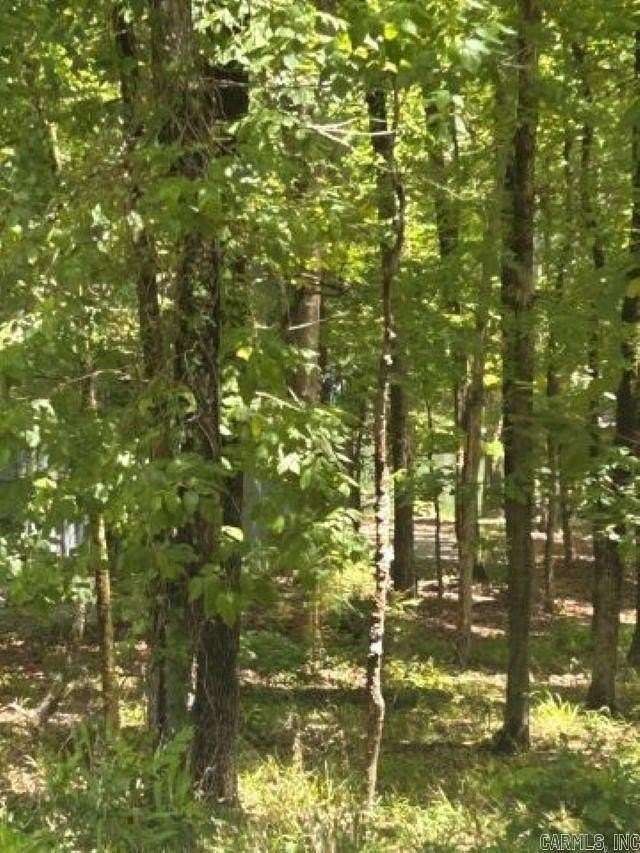 0.49 Acres of Residential Land for Sale in Hot Springs Village, Arkansas