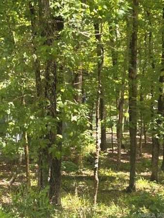 0.49 Acres of Residential Land for Sale in Hot Springs Village, Arkansas