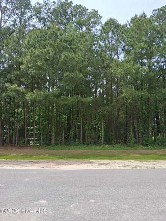 0.34 Acres of Residential Land for Sale in Hertford, North Carolina