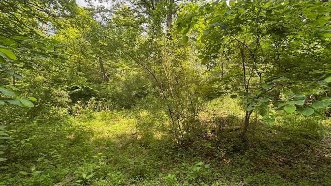 9.25 Acres of Residential Land for Sale in Amesville, Ohio