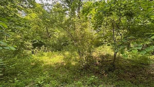 9.25 Acres of Residential Land for Sale in Amesville, Ohio