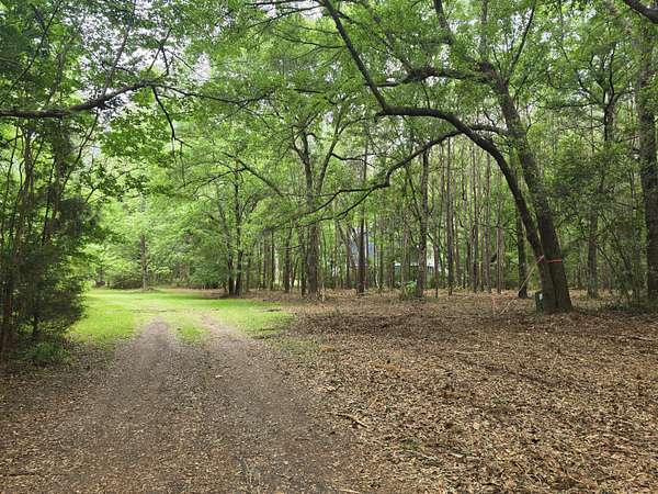 0.6 Acres of Residential Land for Sale in McClellanville, South Carolina