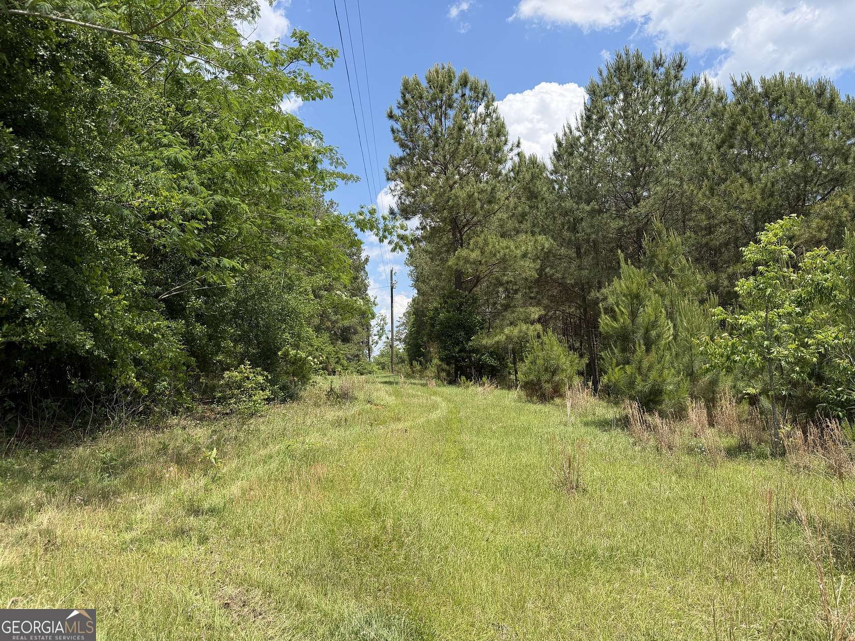12 Acres of Recreational & Residential Land for Sale in Toomsboro, Georgia