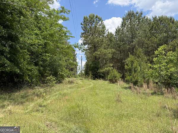 12 Acres of Recreational & Residential Land for Sale in Toomsboro, Georgia