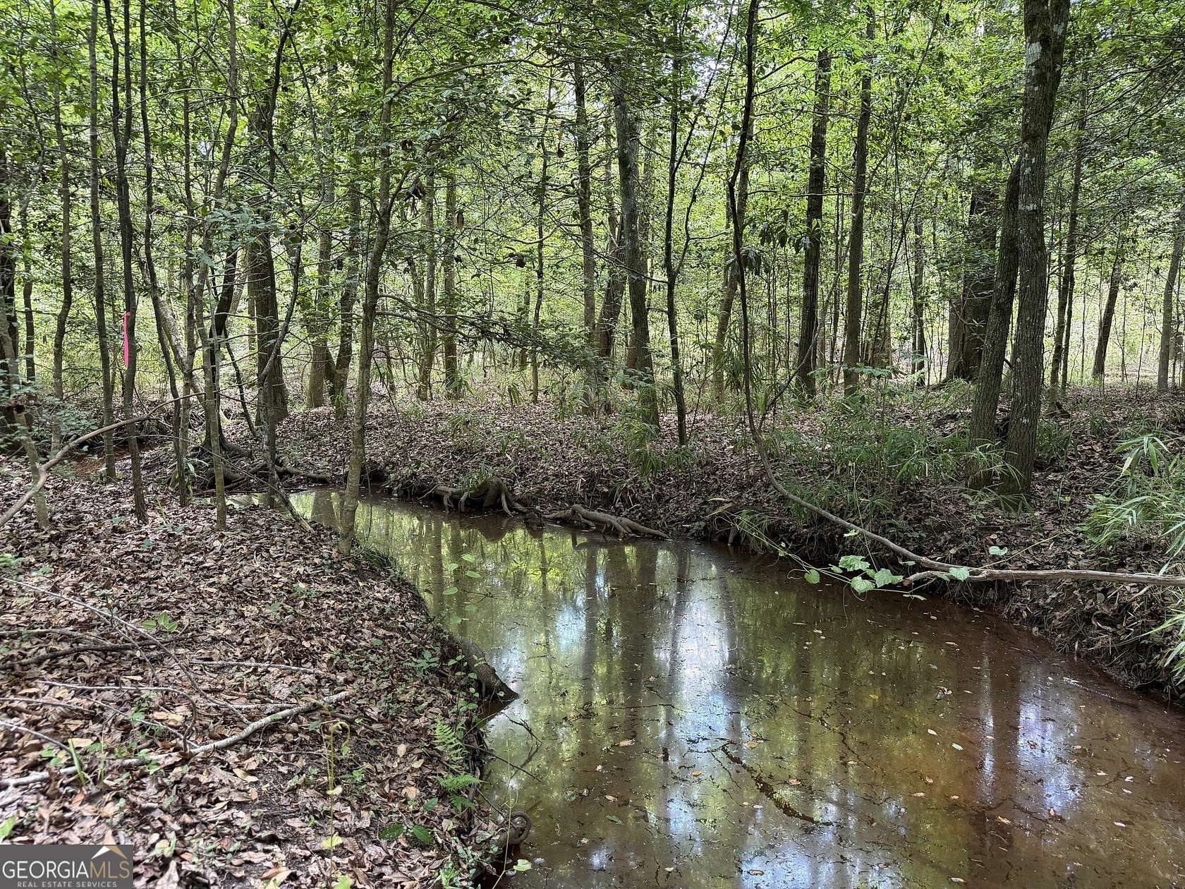 25.7 Acres of Recreational & Residential Land for Sale in Toomsboro, Georgia
