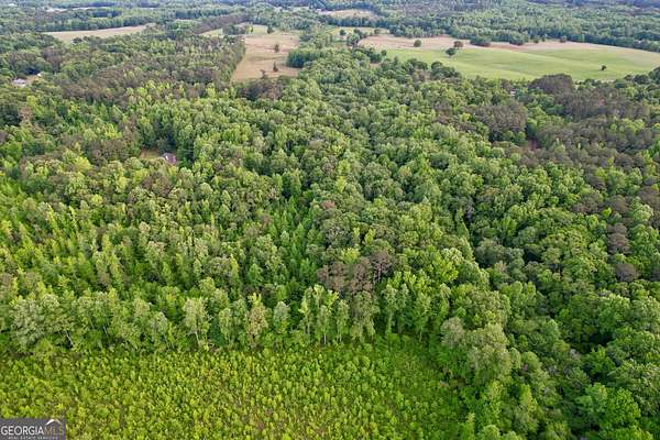 13 Acres of Land for Sale in Griffin, Georgia