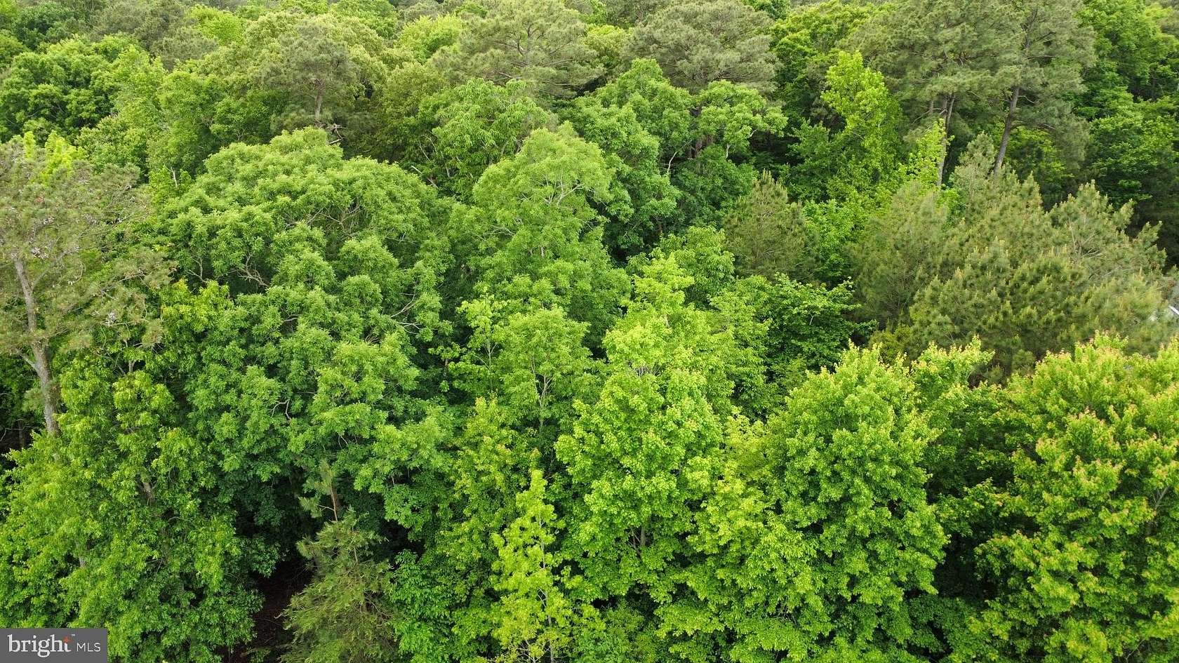 0.83 Acres of Land for Sale in Lexington Park, Maryland