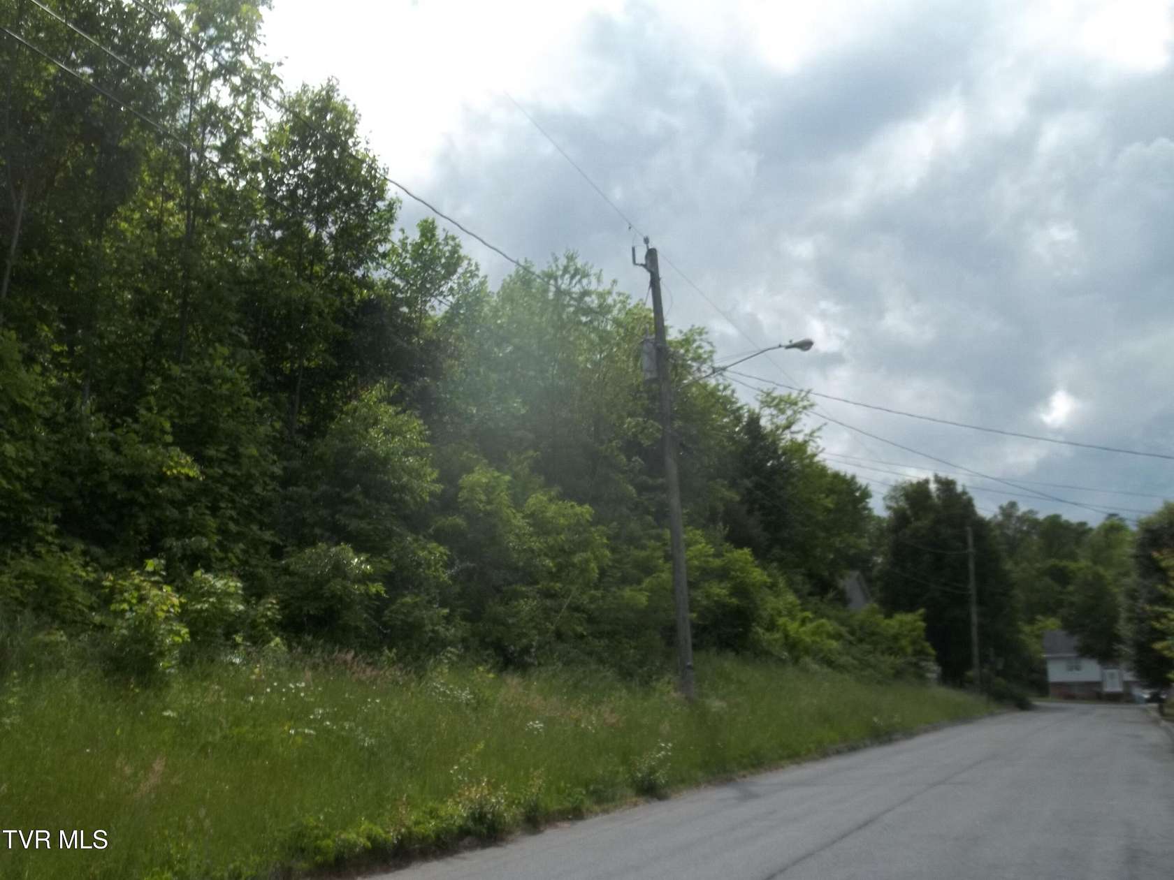 Residential Land for Sale in Mount Carmel, Tennessee
