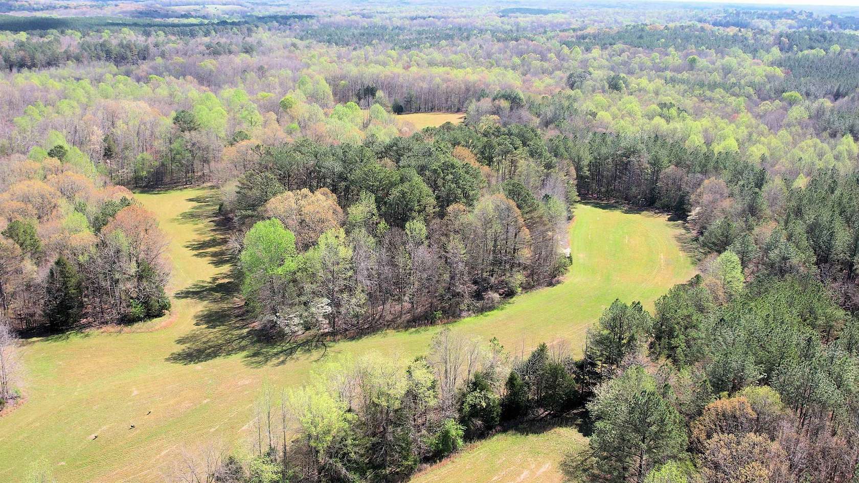 119 Acres of Land for Sale in Enville, Tennessee