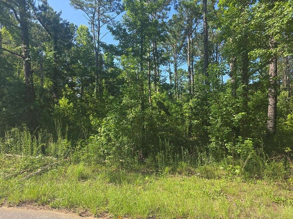 0.5 Acres of Residential Land for Sale in Georgetown, Georgia
