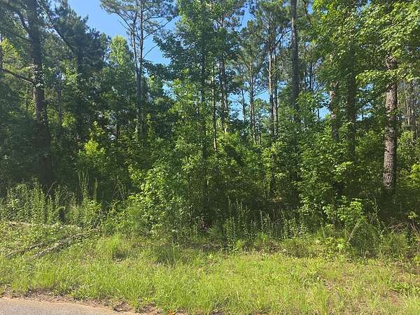 0.5 Acres of Residential Land for Sale in Georgetown, Georgia