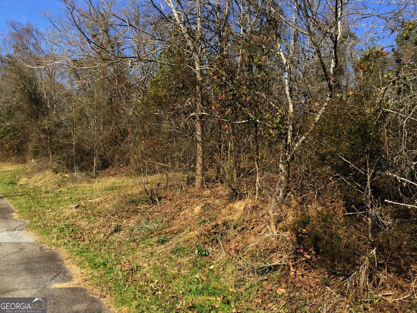 0.5 Acres of Residential Land for Sale in Mansfield, Georgia