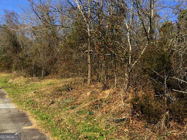 0.5 Acres of Residential Land for Sale in Mansfield, Georgia