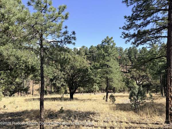 0.36 Acres of Residential Land for Sale in Alto, New Mexico