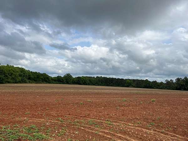 26 Acres of Mixed-Use Land for Sale in Eufaula, Alabama