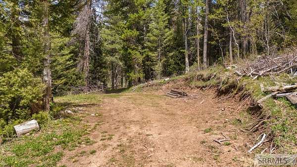 40 Acres of Recreational Land for Sale in Shelley, Idaho