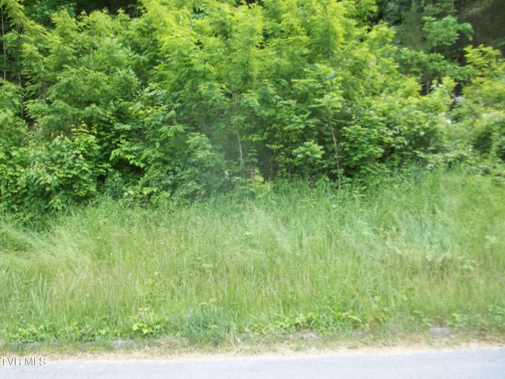 Residential Land for Sale in Mount Carmel, Tennessee
