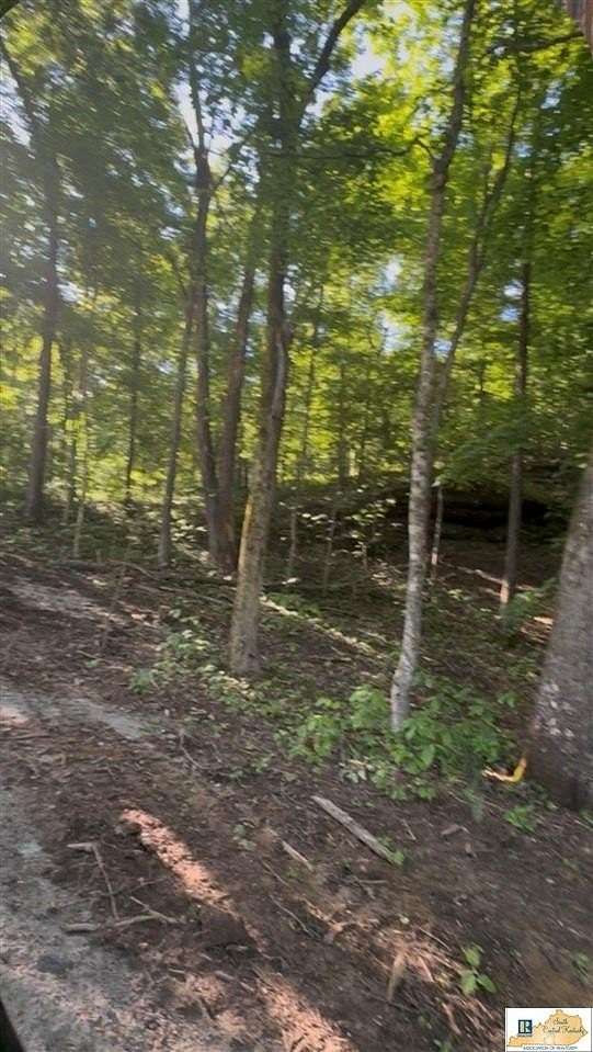 0.9 Acres of Land for Sale in Mammoth Cave, Kentucky