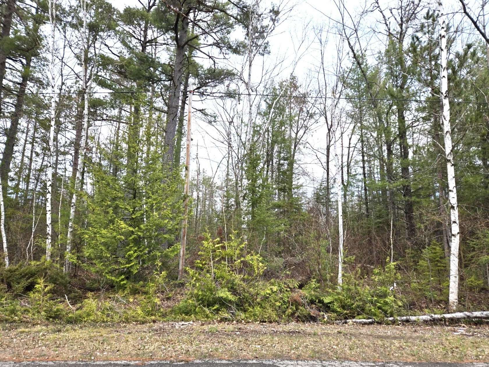 Land for Sale in Presque Isle, Michigan