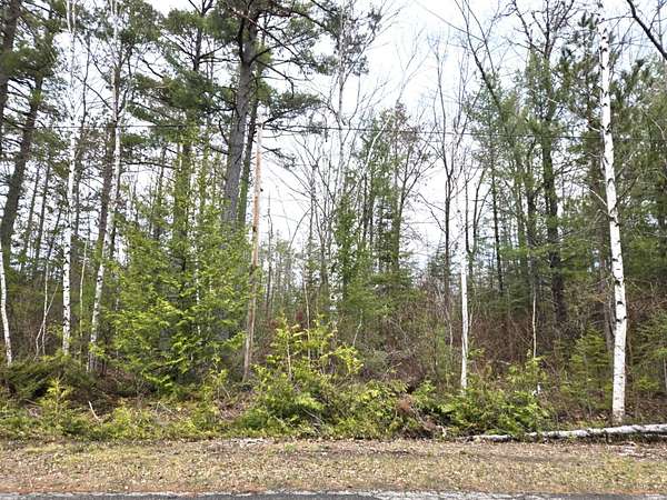 Land for Sale in Presque Isle, Michigan