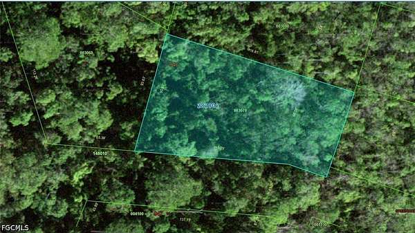 0.25 Acres of Land for Sale in Kissimmee, Florida