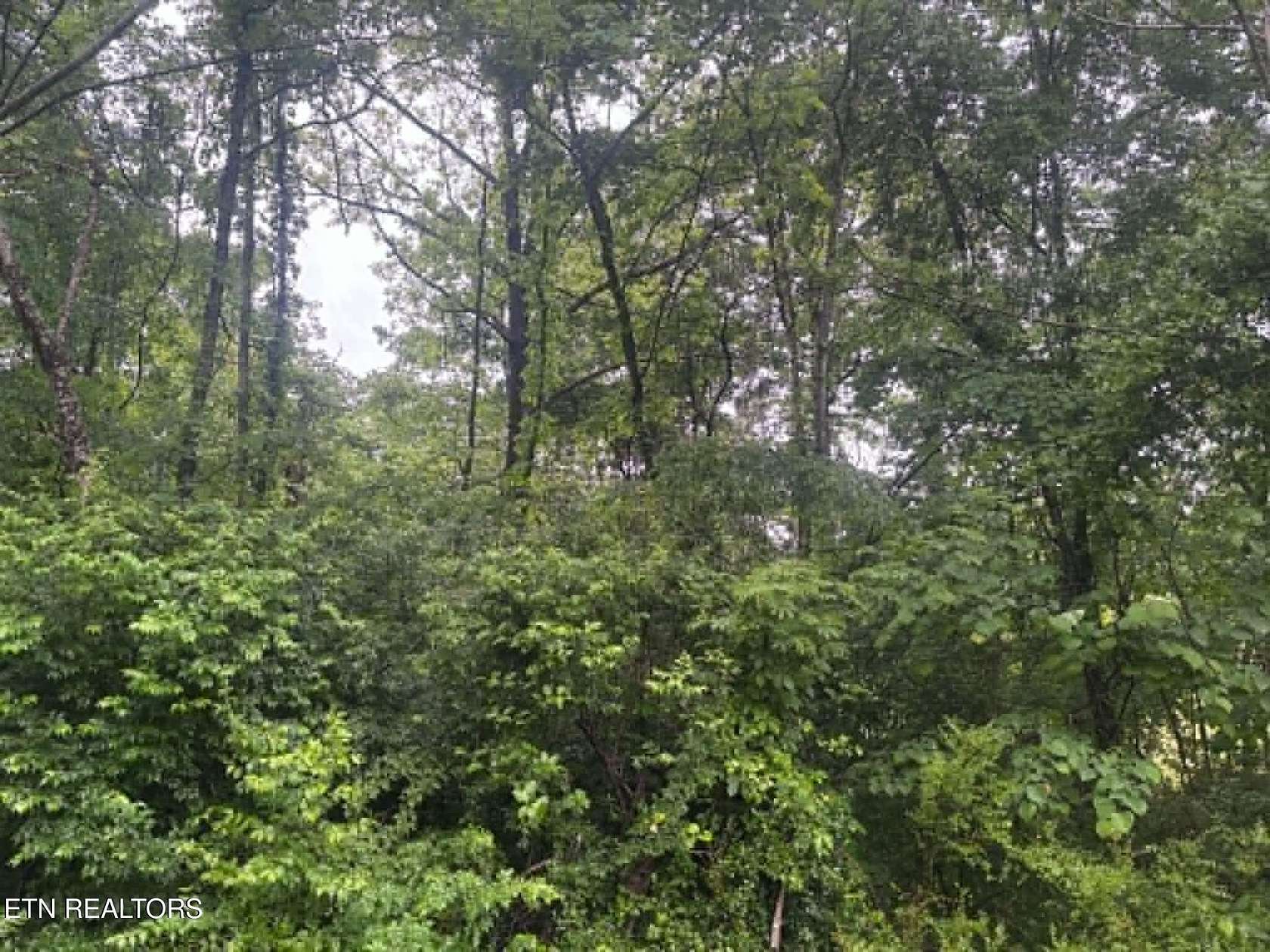 52 Acres of Land for Sale in Tazewell, Tennessee