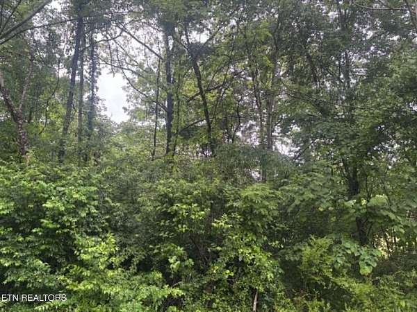 52 Acres of Land for Sale in Tazewell, Tennessee