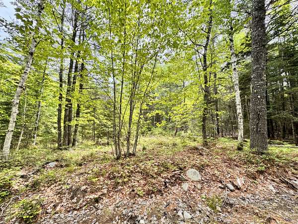 8 Acres of Residential Land for Sale in Blue Hill, Maine