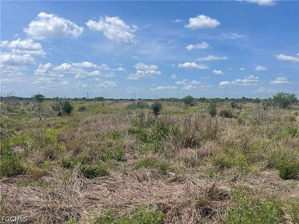 19 Acres of Agricultural Land for Sale in LaBelle, Florida