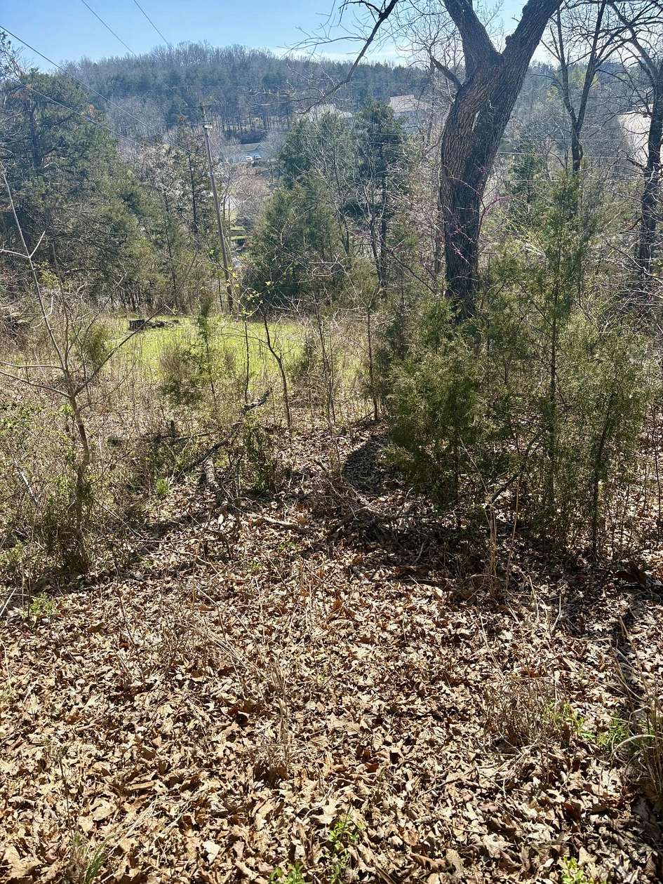 0.43 Acres of Land for Sale in Branson, Missouri