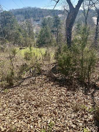 0.43 Acres of Land for Sale in Branson, Missouri