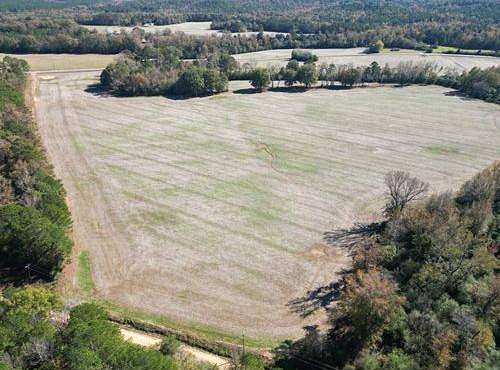 43 Acres of Land for Sale in Hamilton, Alabama